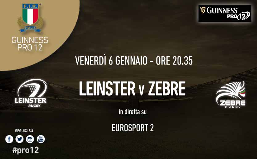 leinster zebre