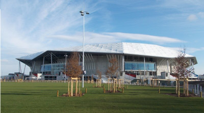 stadiolione