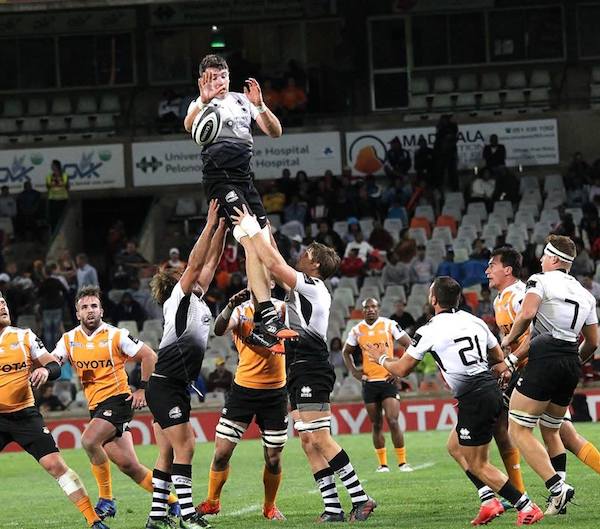 Biagi Cheetahs Zebre 1718