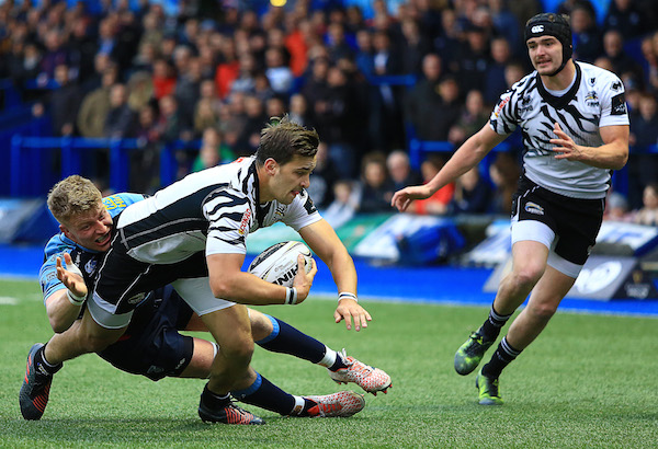 Bellini Cardiff Zebre 1617