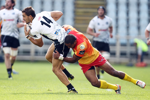 Bellini Zebre Scarlets 1516