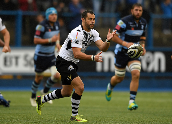 Brummer Cardiff Zebre 1819