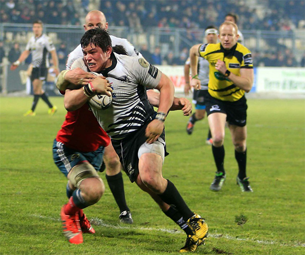 Fabiani Zebre Munster