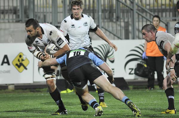 Geldenhuys Zebre Glasgow