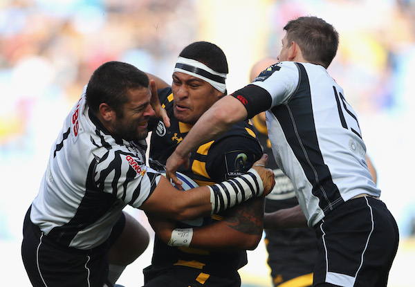 Hughes Wasps Zebre