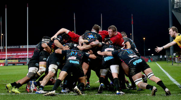 Maul Munster Zebre 1819