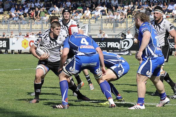 Meyer Zebre Dragons 1718