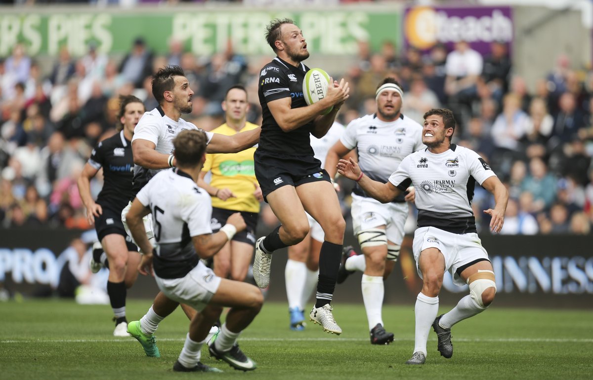 Ospreys Zebre 1718